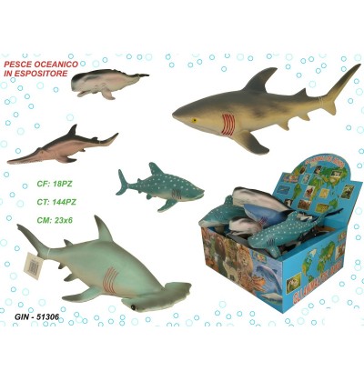 pesce-oceanico-in-espositore