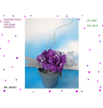 piantina-rosa-e-rami-viola