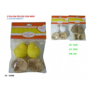 2-pulcini-pelosi-con-nidi