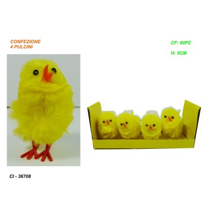 confezione-4-pulcini