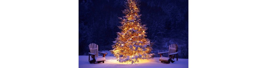 NATALE ALBERI