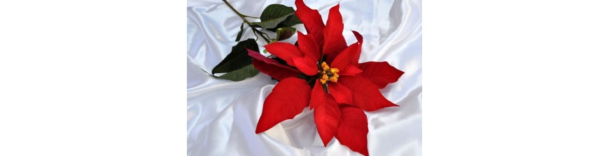 NATALE ADDOBBI FLOREALI